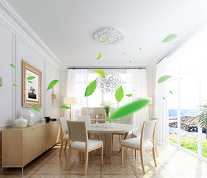 1551429755599379.jpg 1535362668493918.jpg