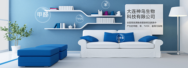 1551429772293452.jpg 1535362582137284.jpg